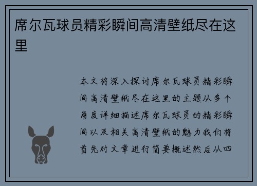 席尔瓦球员精彩瞬间高清壁纸尽在这里